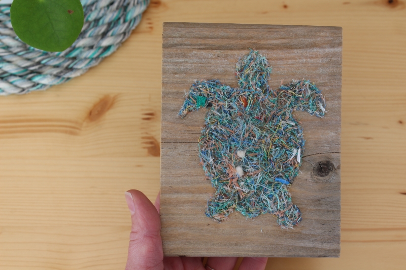 Driftwood-Bild "Schildkröte"